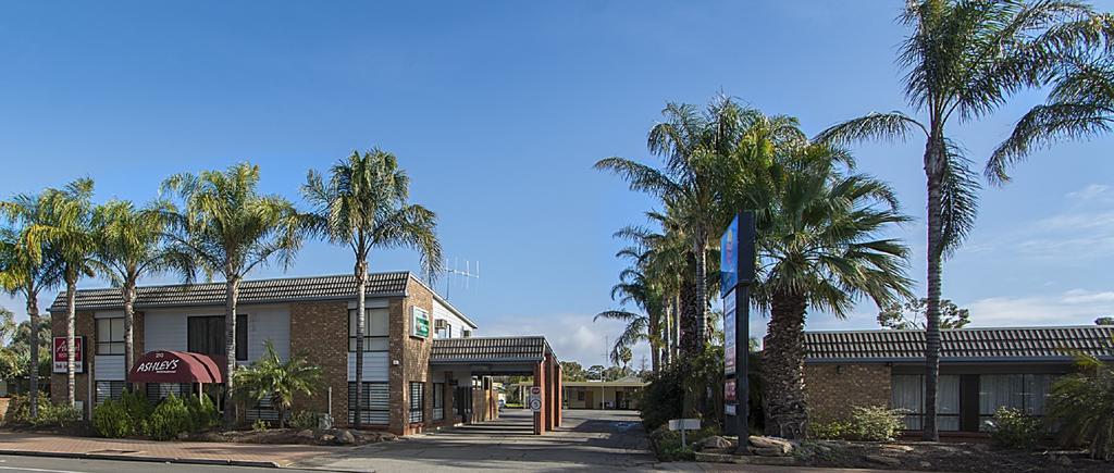Citrus Valley Motel Renmark Exteriör bild