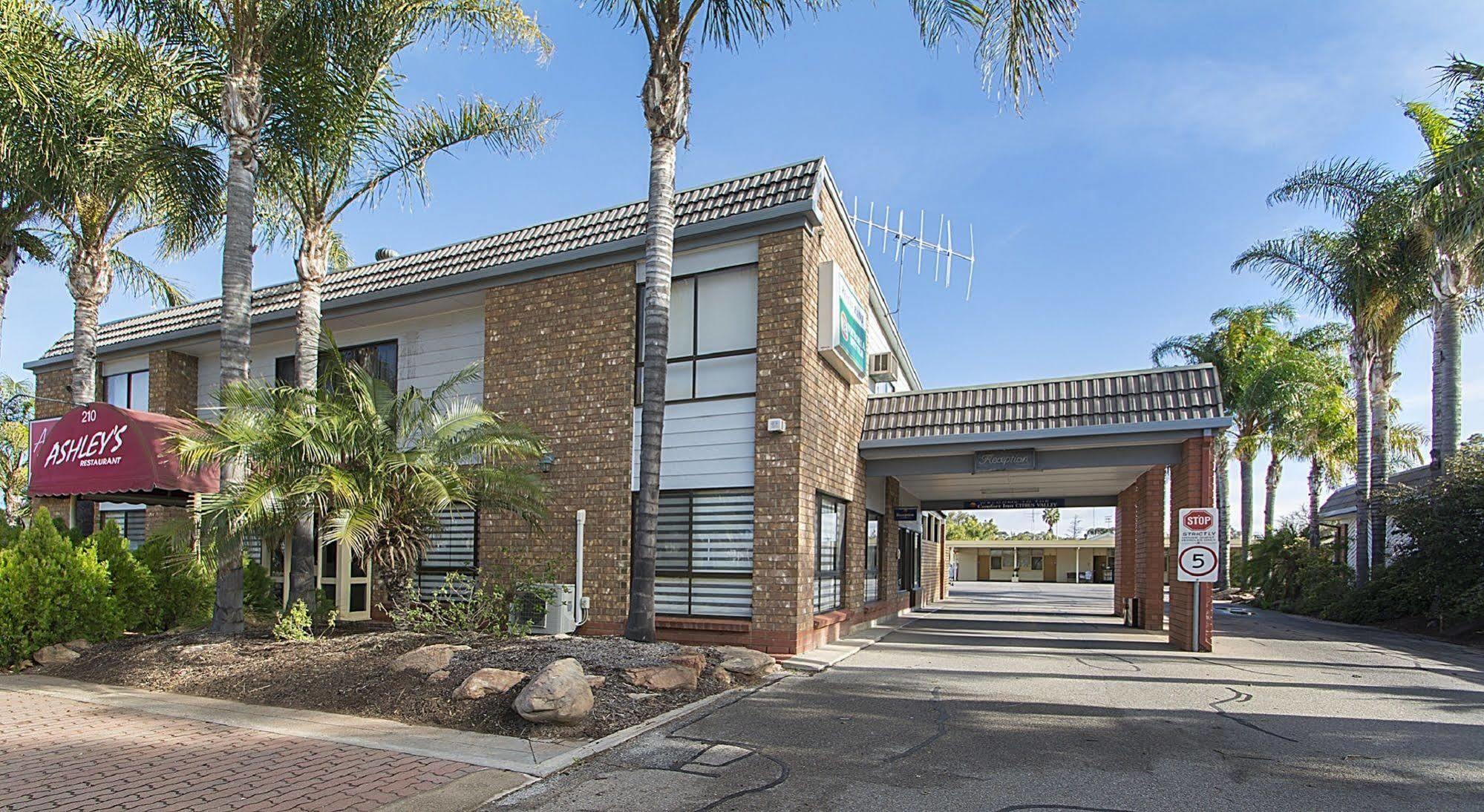 Citrus Valley Motel Renmark Exteriör bild