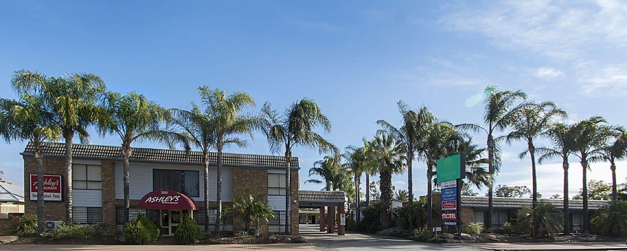 Citrus Valley Motel Renmark Exteriör bild